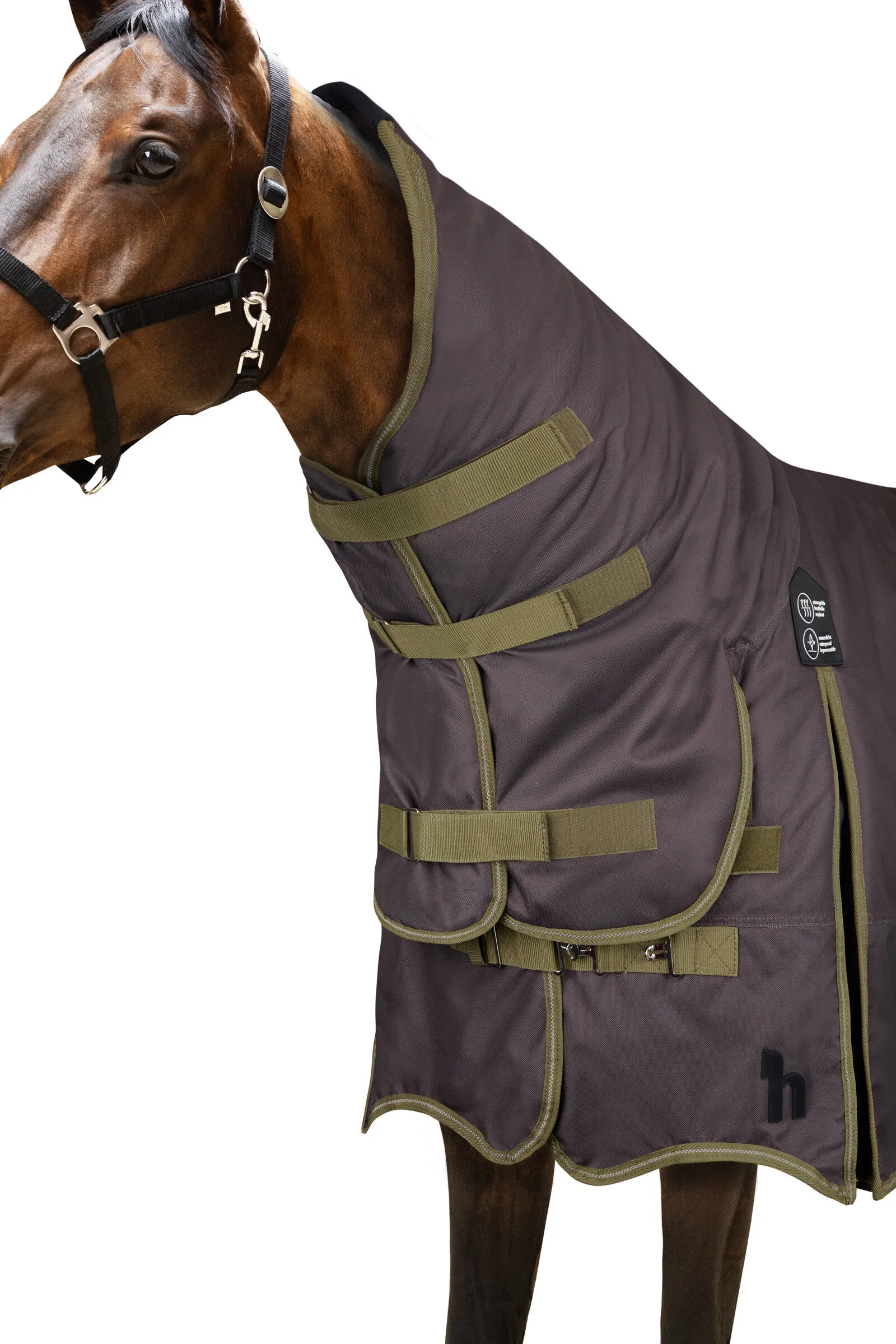 Coperta invernale combinata Horze Avalanche, 350 g